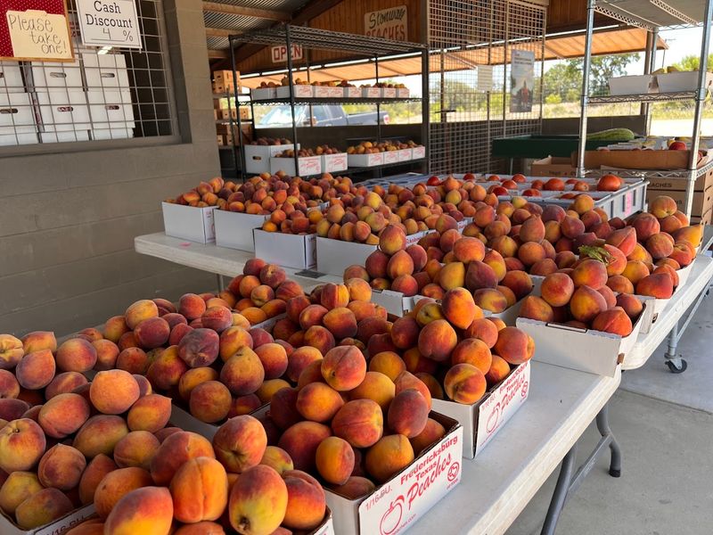 Twenty-Two Peach Varieties And Counting