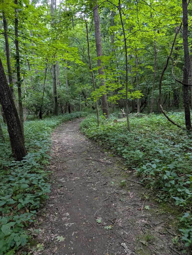 Trails That Twist Through Time