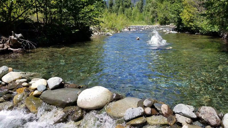 Twentynine Pines Campground