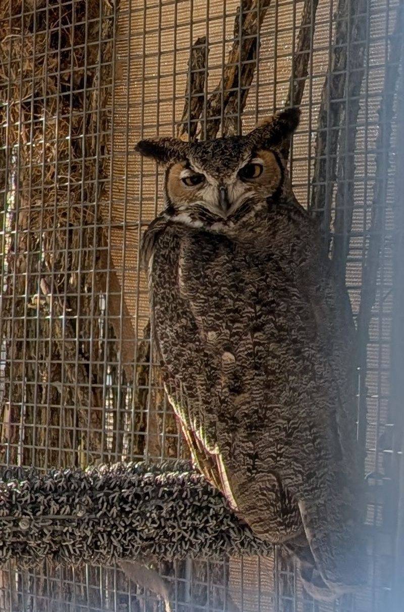 Twilight And Full Moon Tours For Night Owls