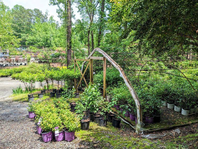 Twin Branch Nursery And Landscape