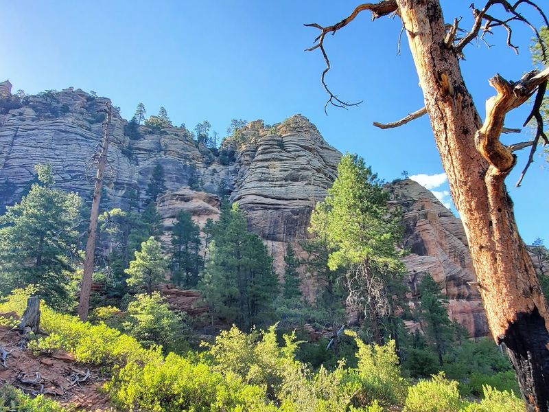 Cave Springs Campground, Oak Creek Canyon