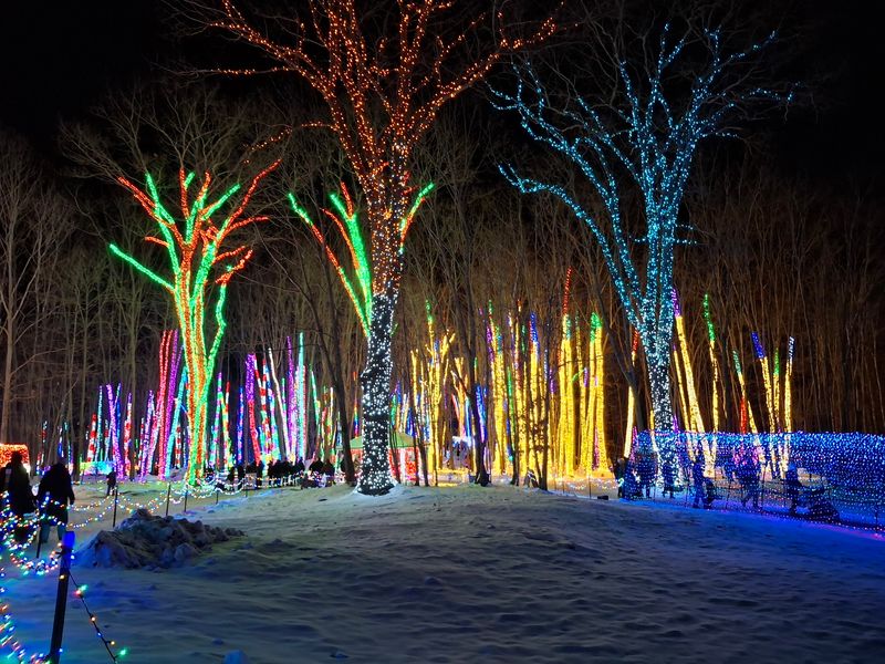 Two And A Half Million Lights Are Waiting In These Woods Two And A Half Million Lights Are Waiting In These Woods