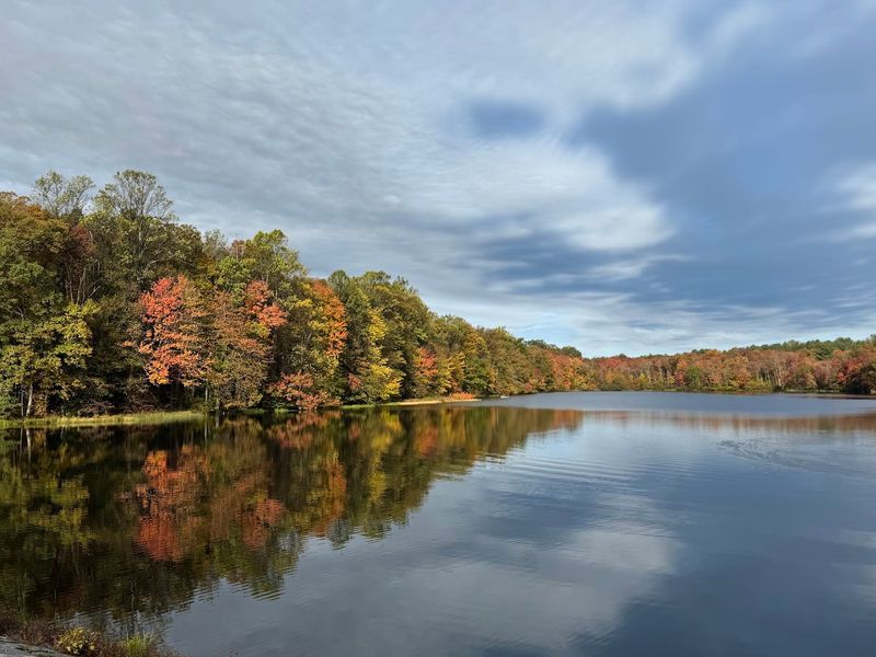 Two Beautiful Lakes At The Heart Of The Park