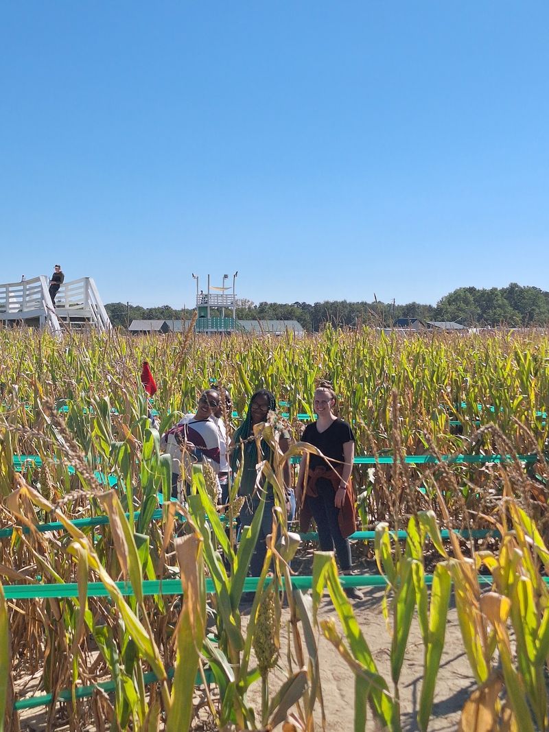 Two Corn Mazes, Two Kinds Of Adventure Two Corn Mazes, Two Kinds Of Adventure