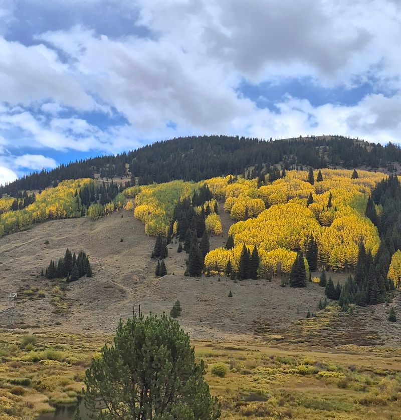 Two Hours Of Gold Leaves And Big Peaks Await You