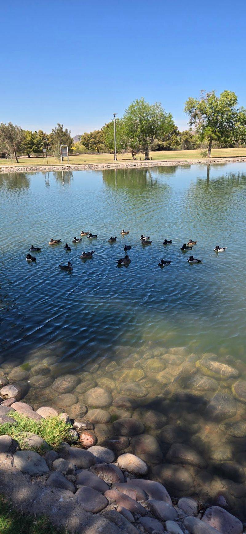 Two Lagoons That Steal The Show