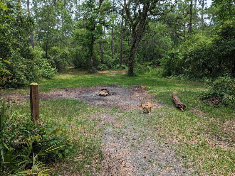 Two Mile Prairie Primitive Campsite, Dunnellon
