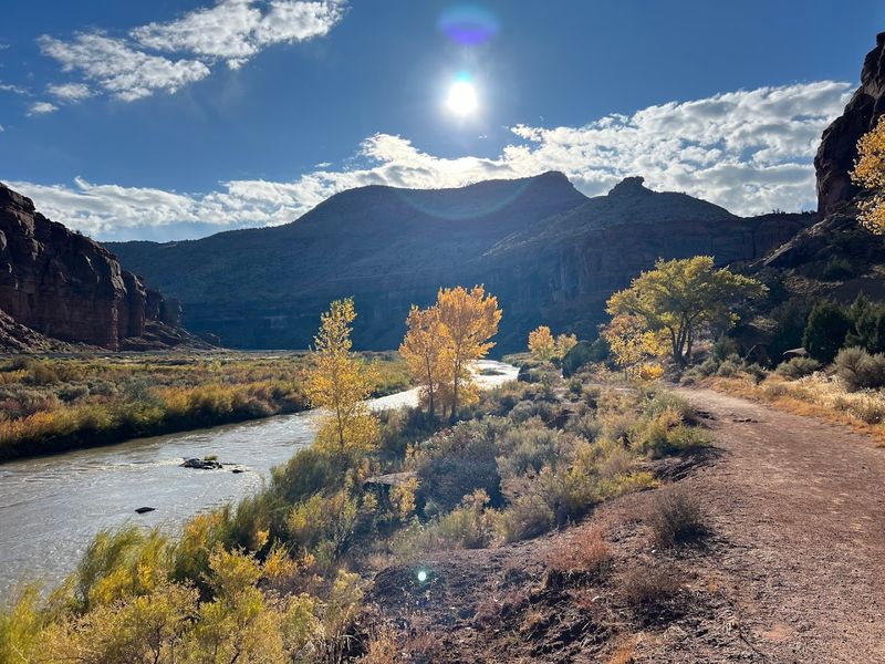 Two Miles Along the River Before the Canyon Swallows You Whole