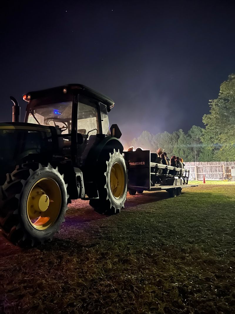 Two Miles Of Dark Woods Feel Much Longer On A Trailer Two Miles Of Dark Woods Feel Much Longer On A Trailer