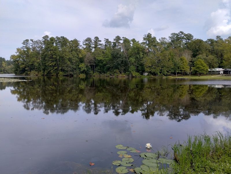 Two Peaceful Fishing Lakes