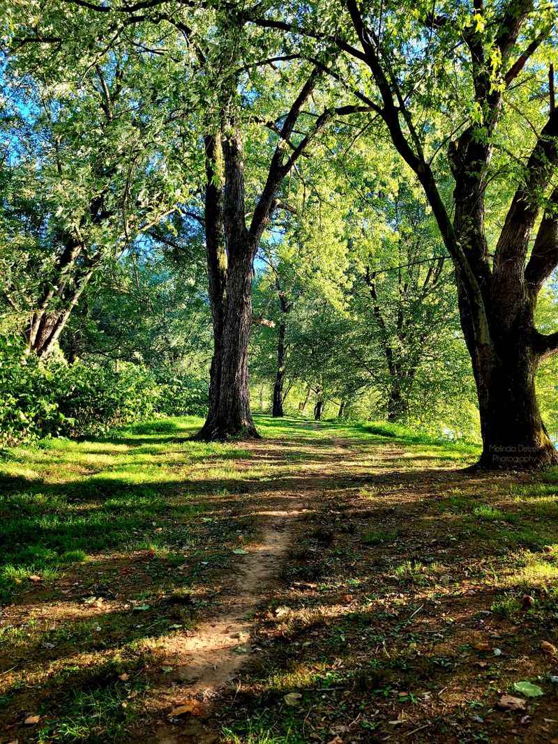 Two Shady Loop Trails Around The Edges