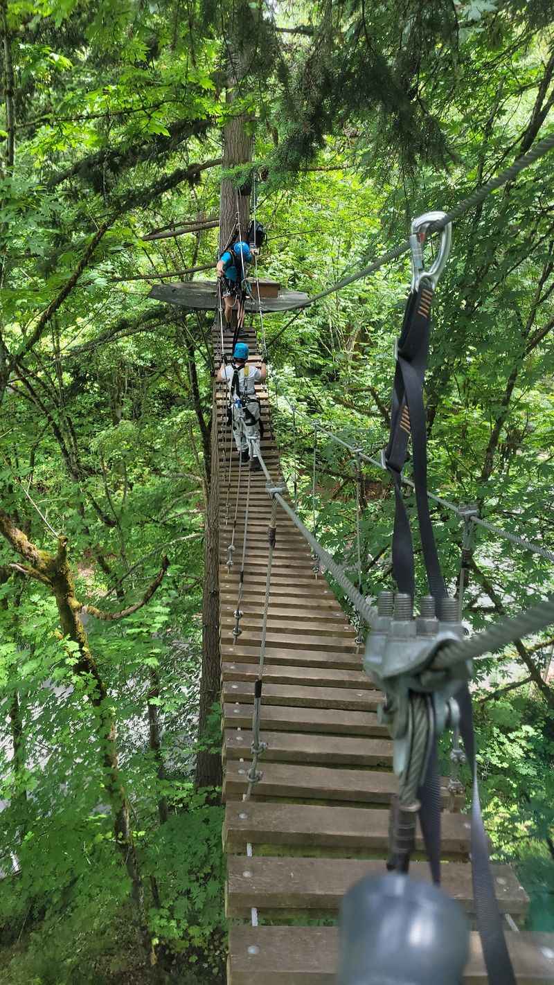 Two Suspension Bridges Connecting The Course Two Suspension Bridges Connecting The Course