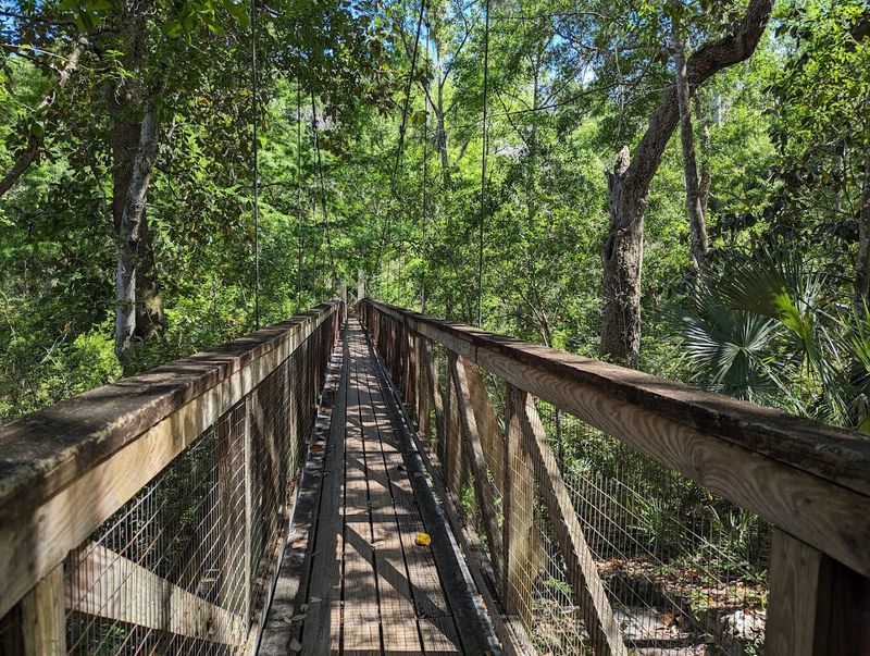 Two Swaying Suspension Bridges That Kids Absolutely Love