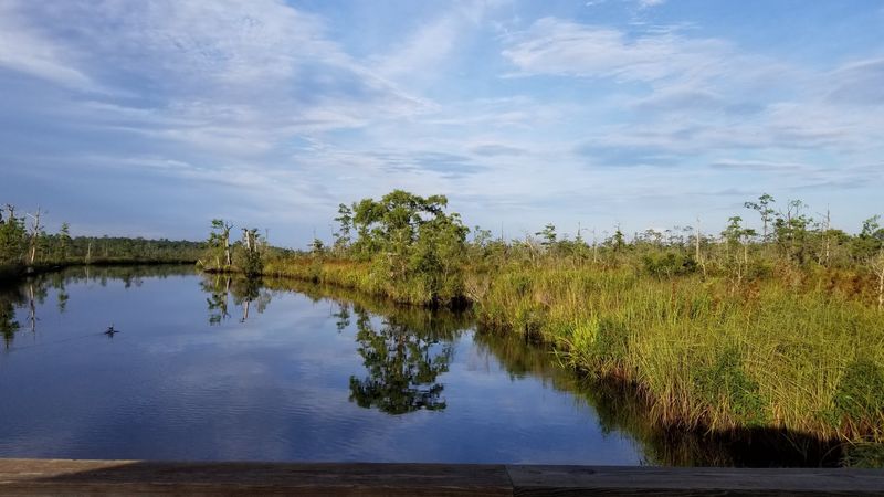 White Oak Conservation, Yulee