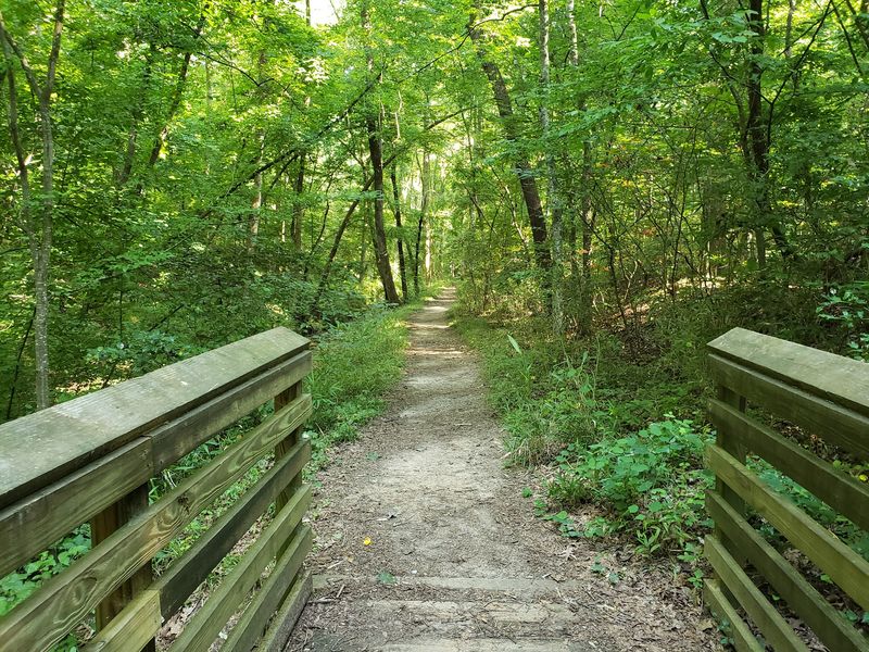 Two Trails, One Easy Loop Of About Three Miles