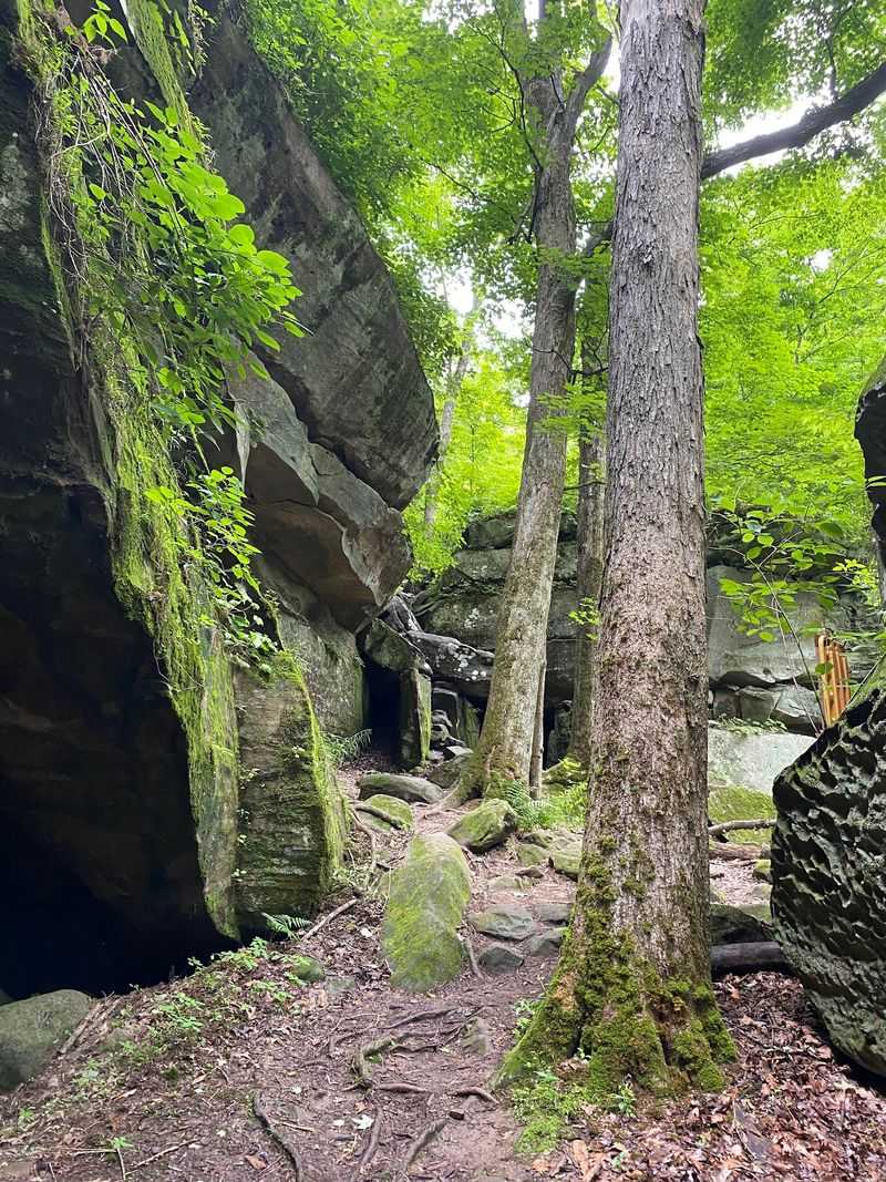 Two Trails to the Bottom of the Falls