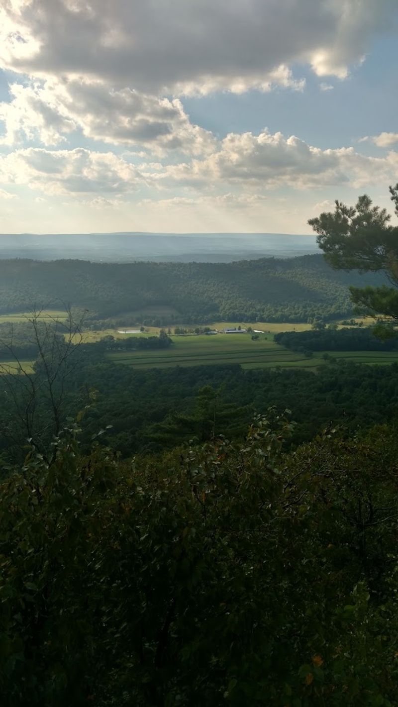 The Forest Stretches Across Three Pennsylvania Counties
