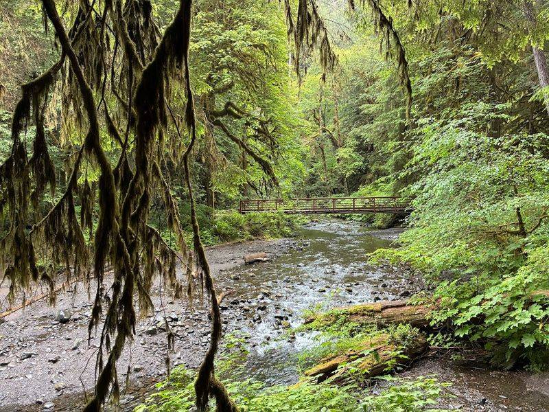 Two Wooden Bridges Over Babbling Creeks