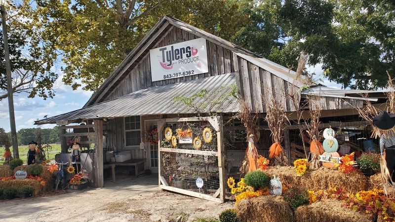 Tyler's Produce, Conway