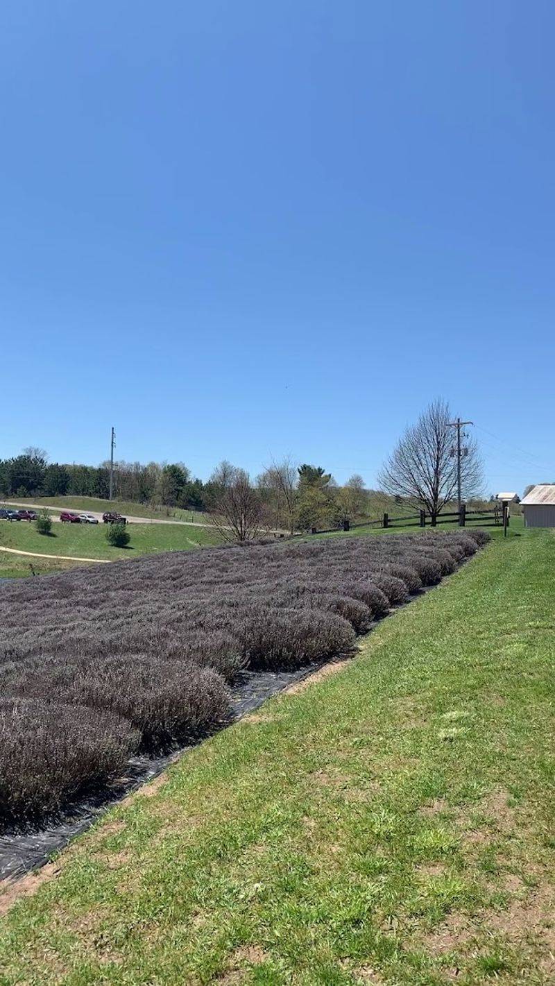 Amphitheater On The Hill