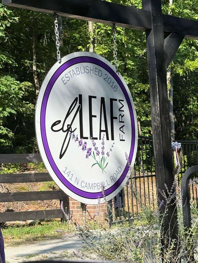 Samples That Make You Want Everything