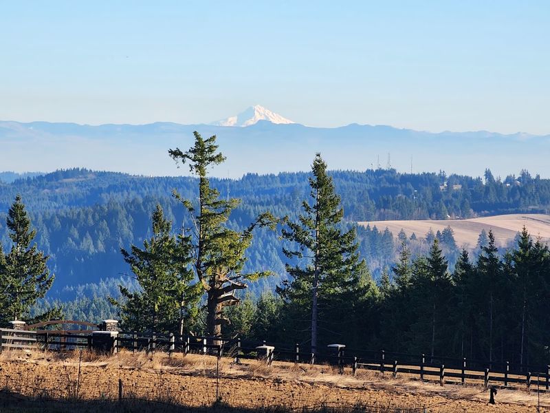 Bald Peak State Scenic Viewpoint