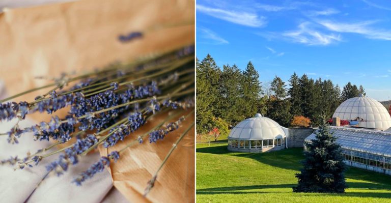 The charming flower festivals of Michigan