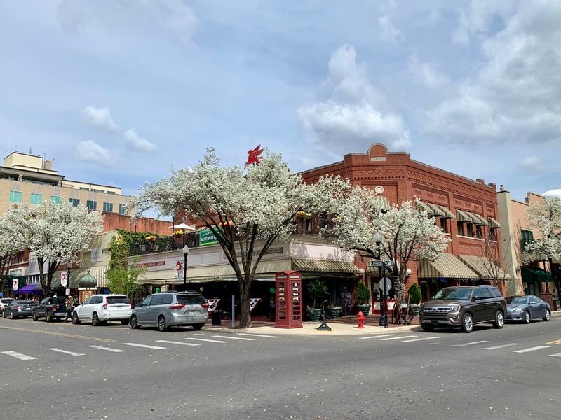 Affordable Housing For Every Budget