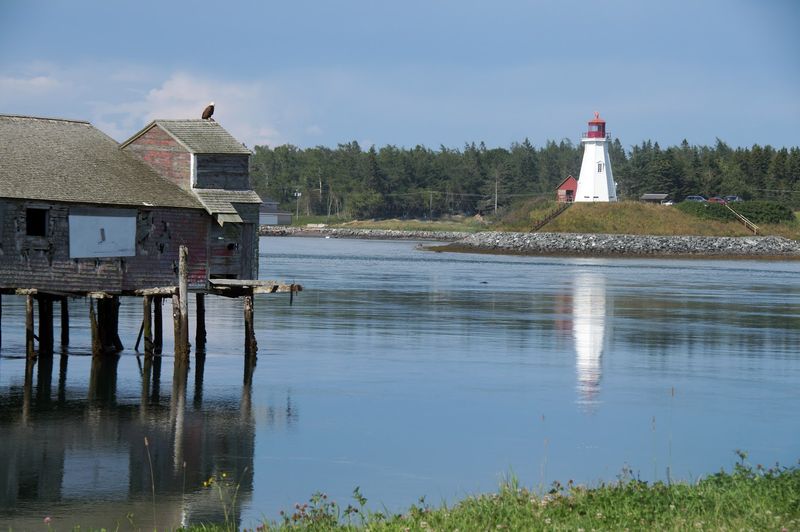 Tidal Extremes Shape Daily Life