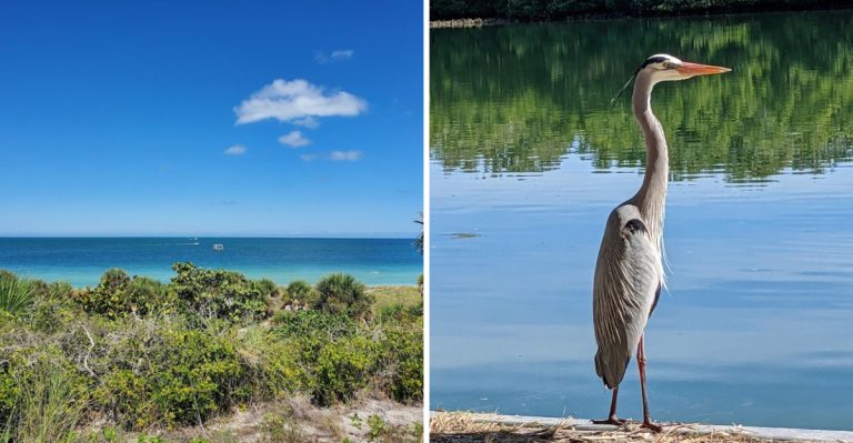Uncover Florida’s Best Kept Family Camping Secret With Over 80 Stunning Waterfront Campsites Ideal For All Ages