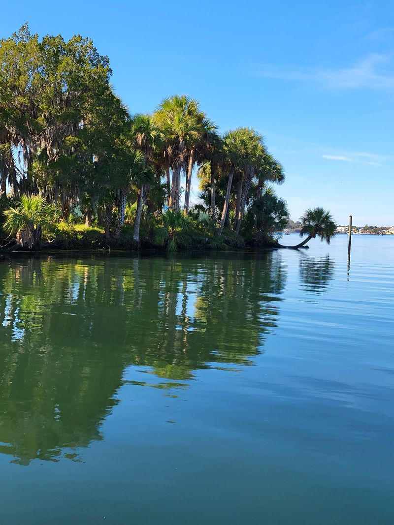 Authentic Local Restaurants And Fresh Seafood