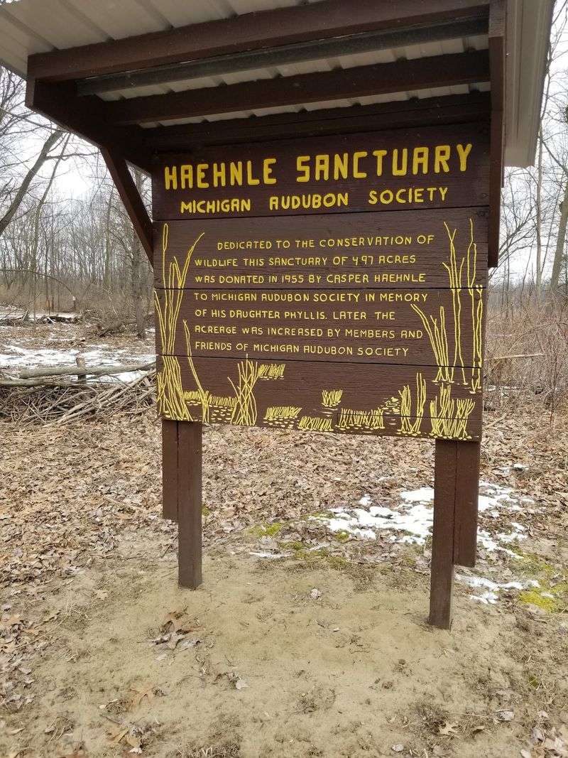 Understand The Sanctuary's Lasting Legacy Understand The Sanctuary's Lasting Legacy