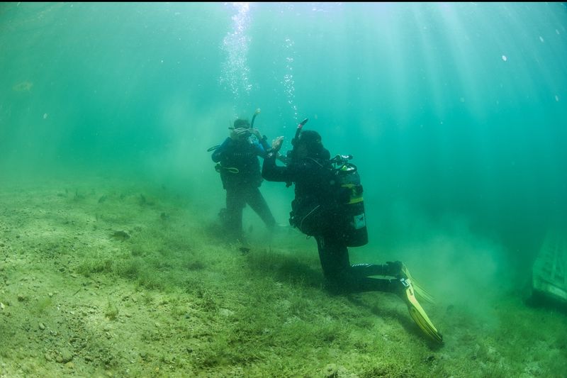 Underwater Attractions