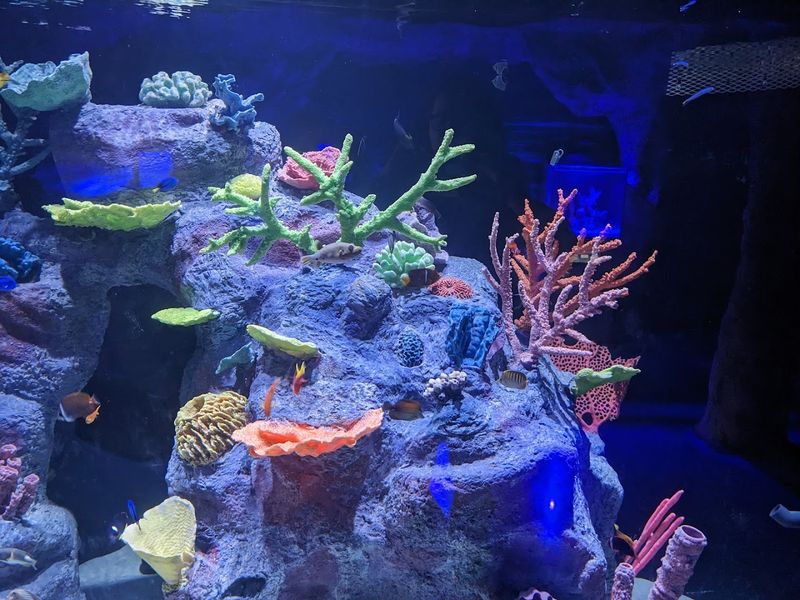 Underwater Habitats Fill The Indoor Space
