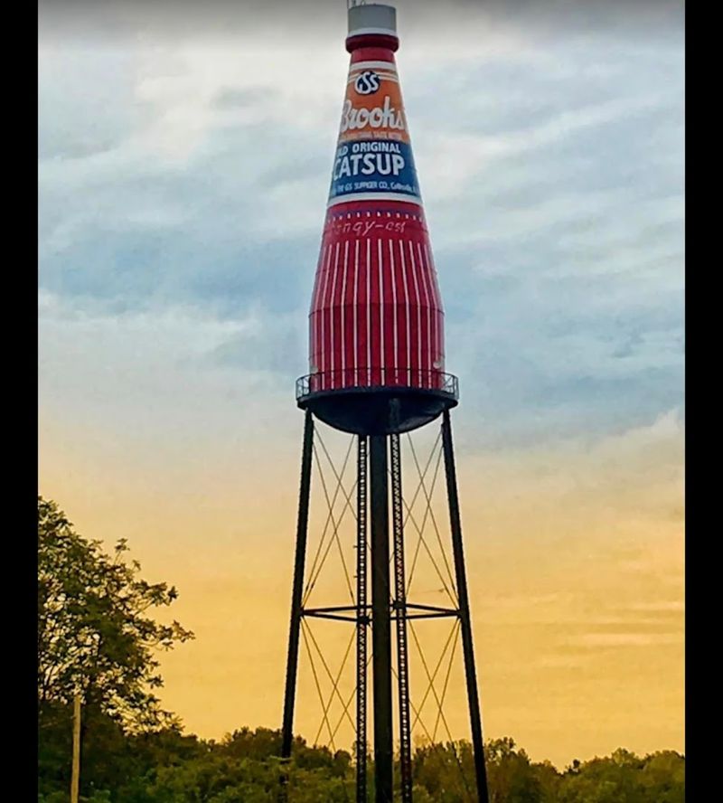 Take A Photo With World’s Largest Catsup Bottle
