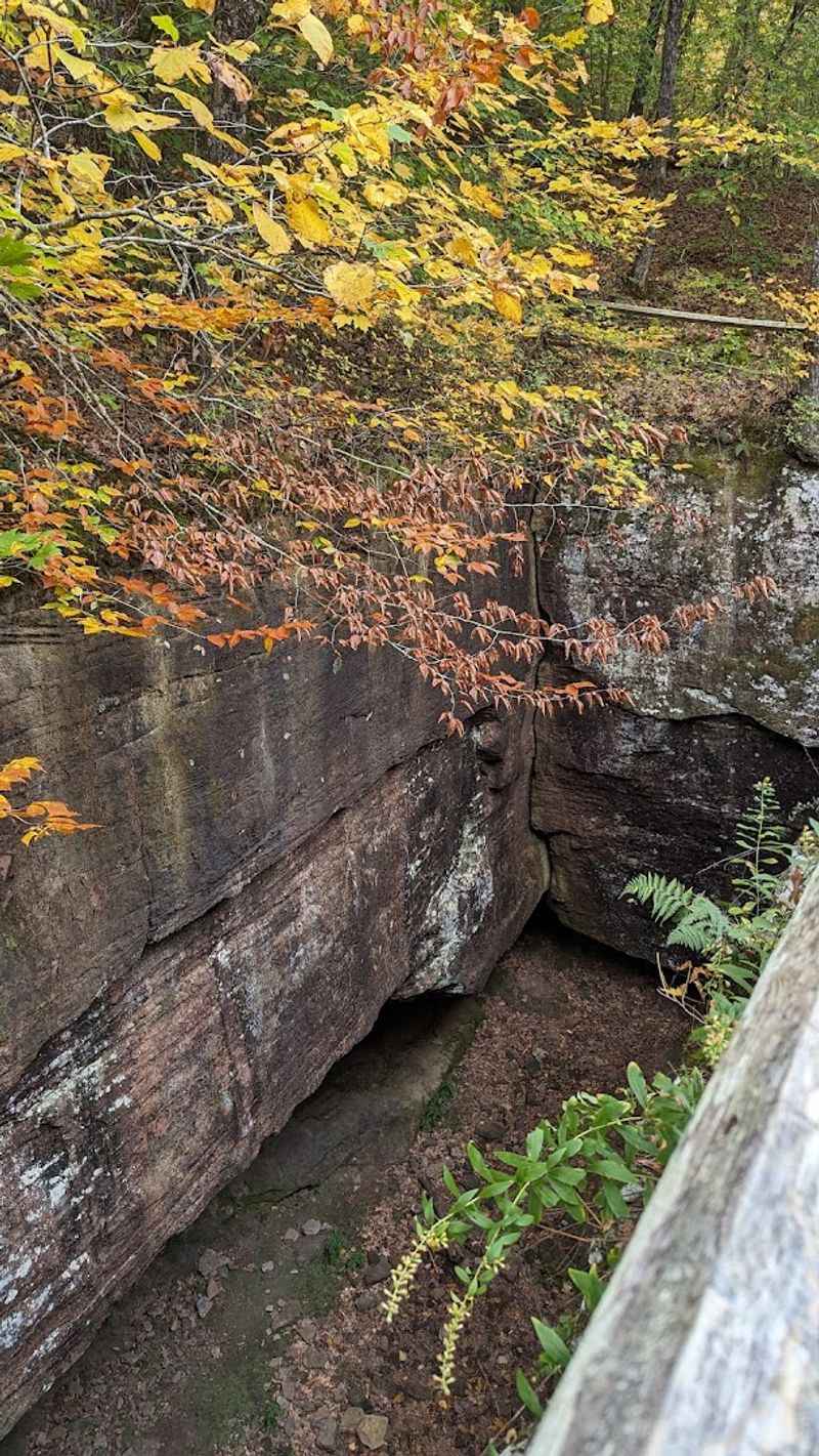Spring Greenery And Autumn Color Transforming The Landscape