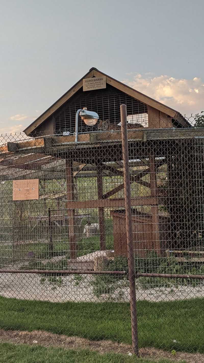 Accessibility And Comfort On The Grounds