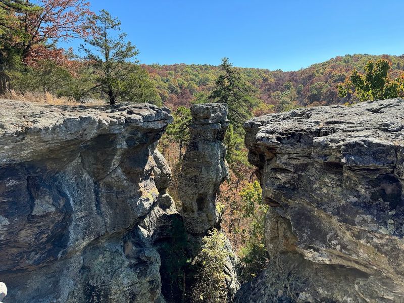 A Tranquil Escape Into Nature's Beauty