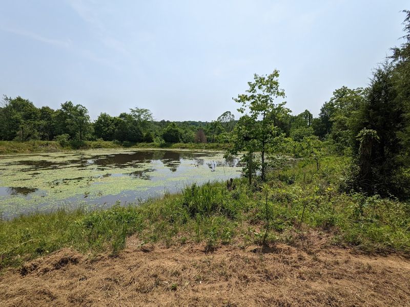 The Seasonal Calendar 