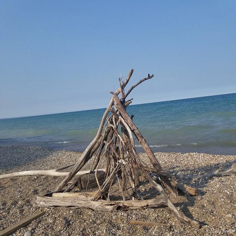 Unexpected finds along the shore