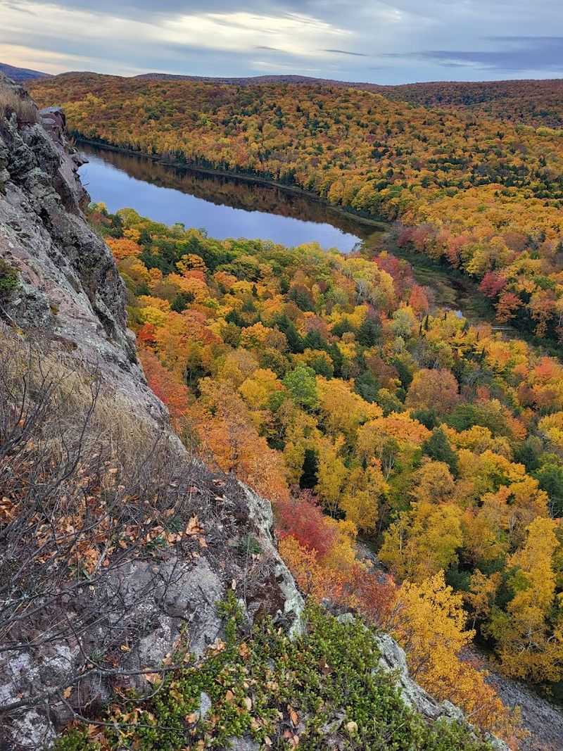 Seasonal Color And Timing