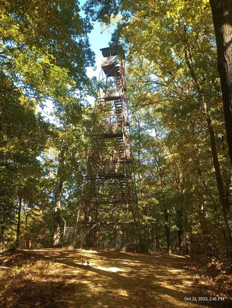 Union Fire Tower Above The Treetops