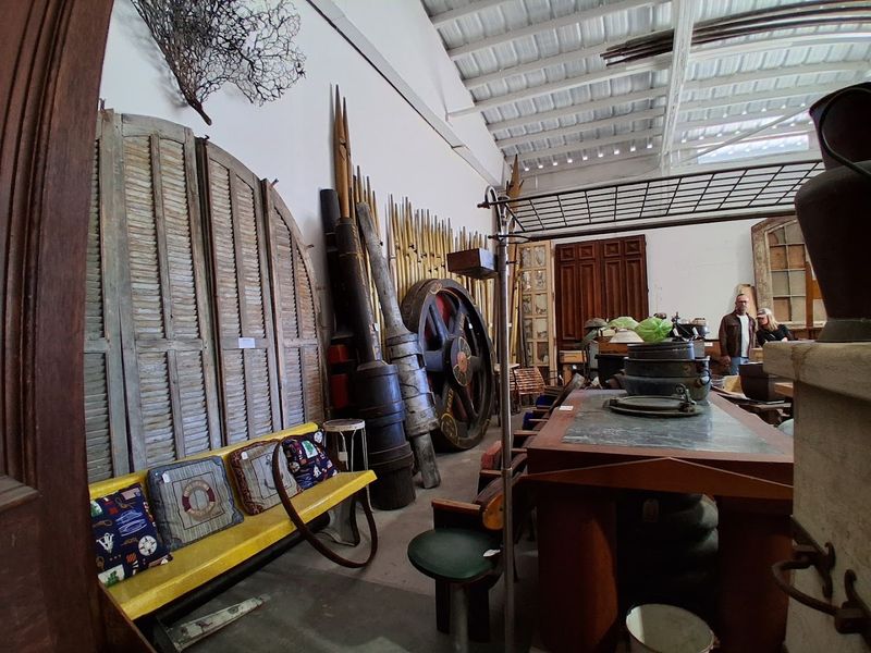 Salvaged Doors And Windows