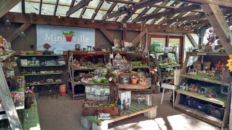 Unique Gift Shop 