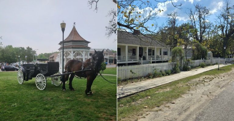 Unique Horse-Drawn Carriage Rides To Experience Across Arkansas