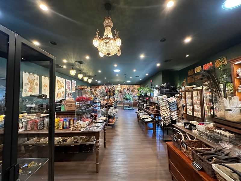 Unique Jewelry And Natural-Themed Accessories