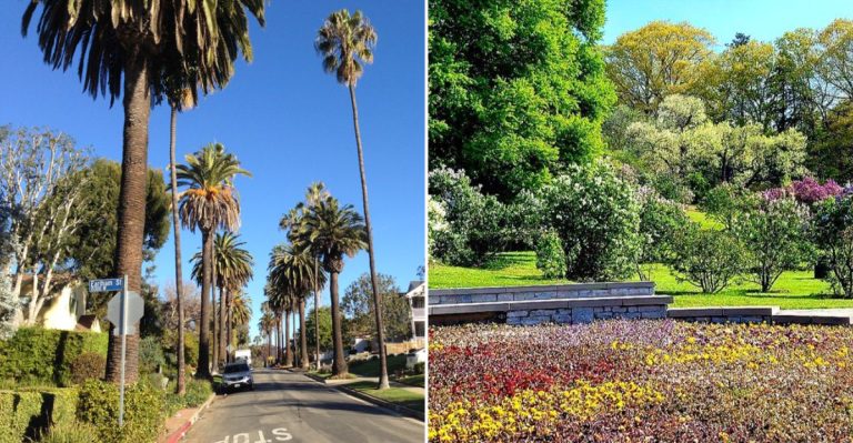 Unique, Less-Touristy Corners Of Los Angeles, California, Where You Can Skip The Crowds