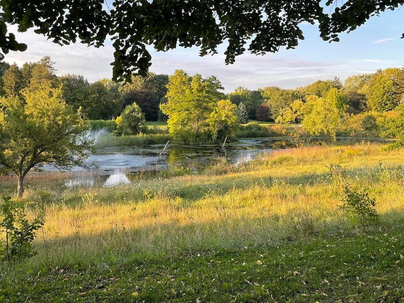 Practical Tips for Planning Your Visit