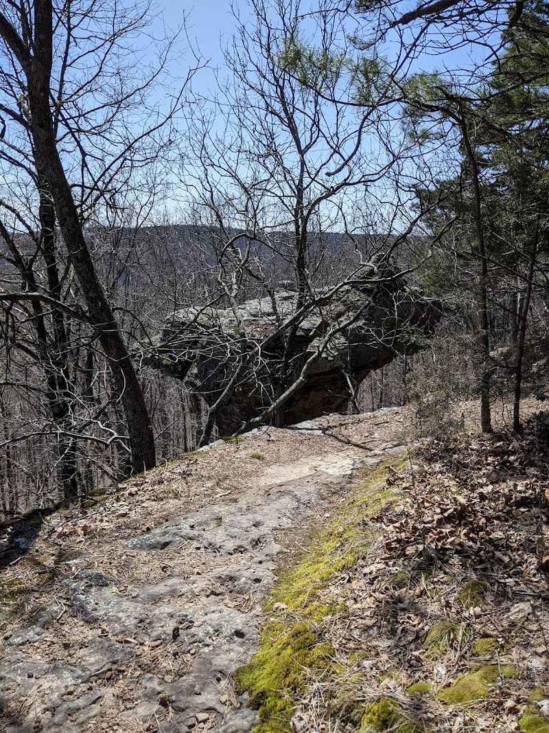 The Calm Serenity Of Secluded Trails